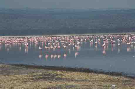 kenya06.jpg