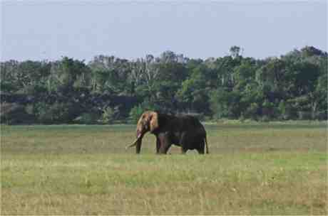 kenya12.jpg