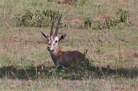 kenya17.jpg